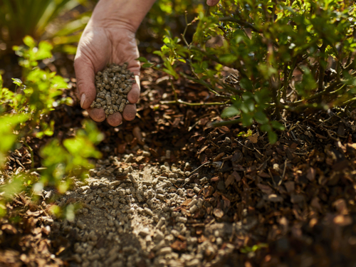 Comment choisir le bon engrais pour mes plantes et mon jardin ?