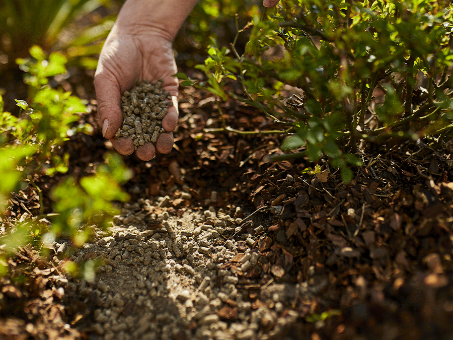 Comment choisir le bon engrais pour mes plantes et mon jardin ?