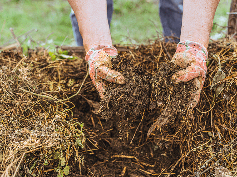 Compost.png Compost.png