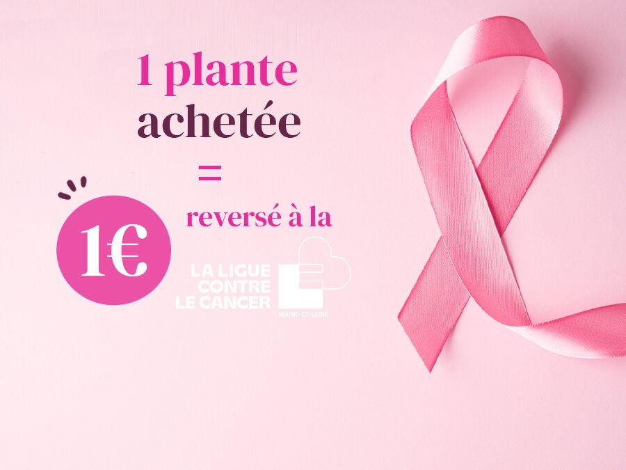 OPÉRATION OCTOBRE ROSE