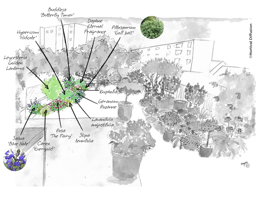 Etape-1---jardin-anglais---massif-gauche.png Etape-1---jardin-anglais---massif-gauche.png