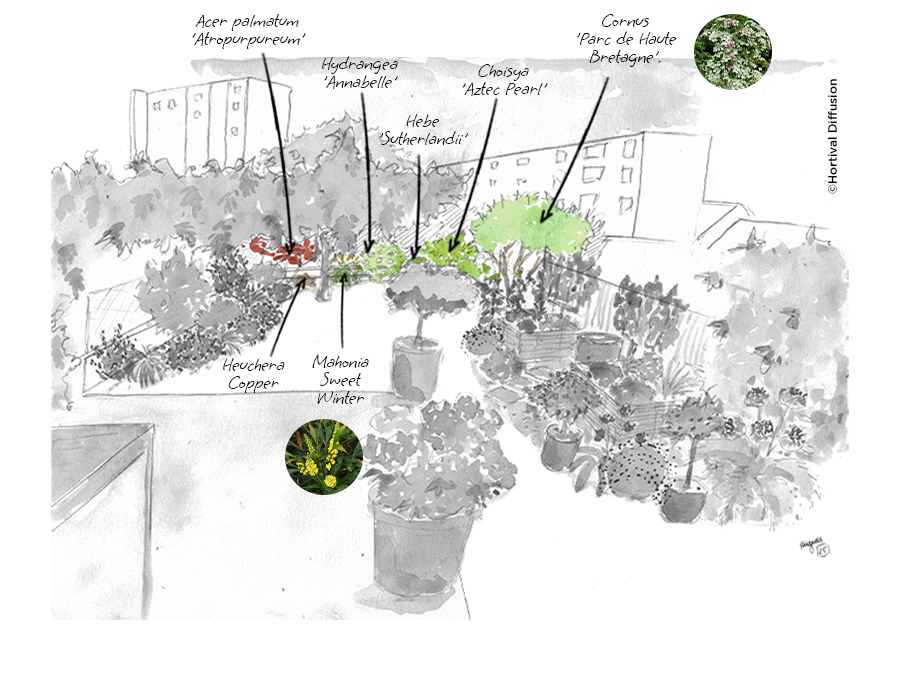 Etape-1---jardin-anglais---massif-du-fond.png Etape-1---jardin-anglais---massif-du-fond.png