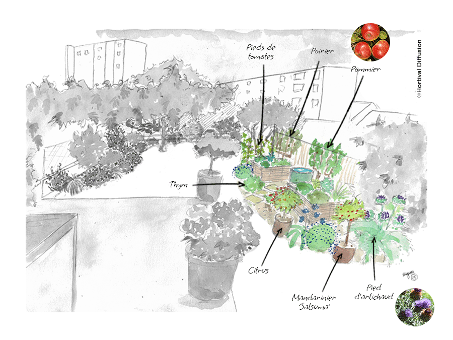 Etape-2---potager-hors-sol.png Etape-2---potager-hors-sol.png