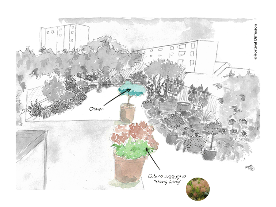 Etape-3---amenager-terrasse.png Etape-3---amenager-terrasse.png