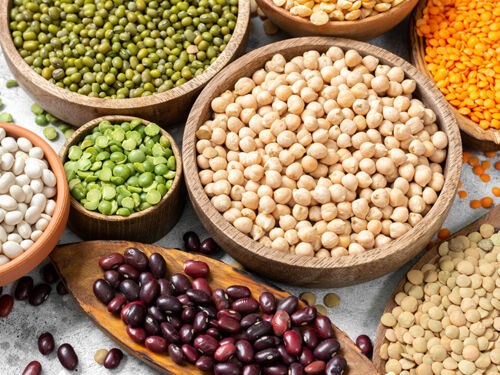 Cultiver des protéines végétales dans son jardin :  une idée savoureuse et durable