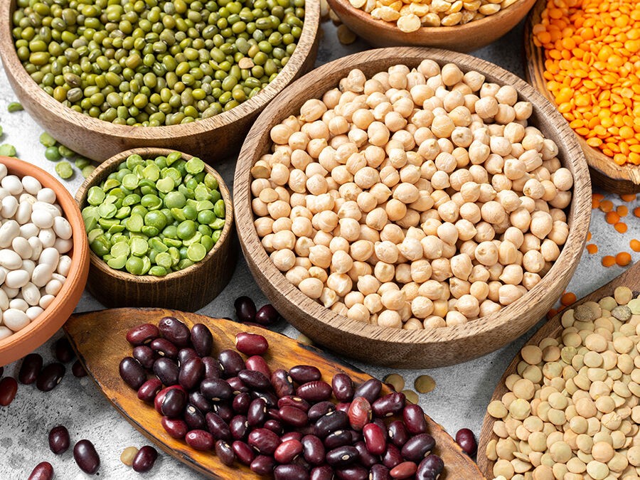Cultiver des protéines végétales dans son jardin : une idée savoureuse et durable