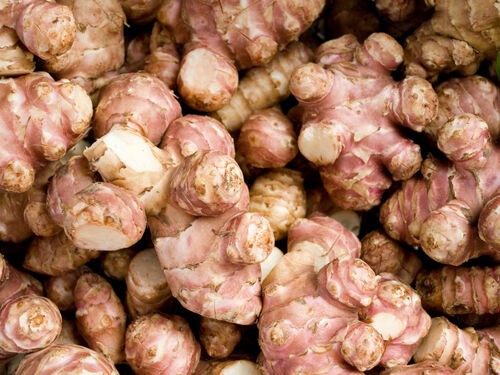 Le topinambour : un légume ancien à cultiver au jardin