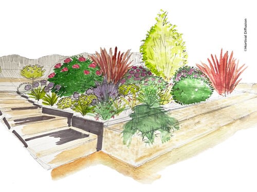 Aménager un massif sur un sol argileux chez Florence 