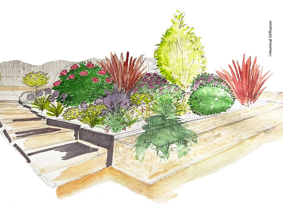 Aménager un massif sur un sol argileux chez Florence 