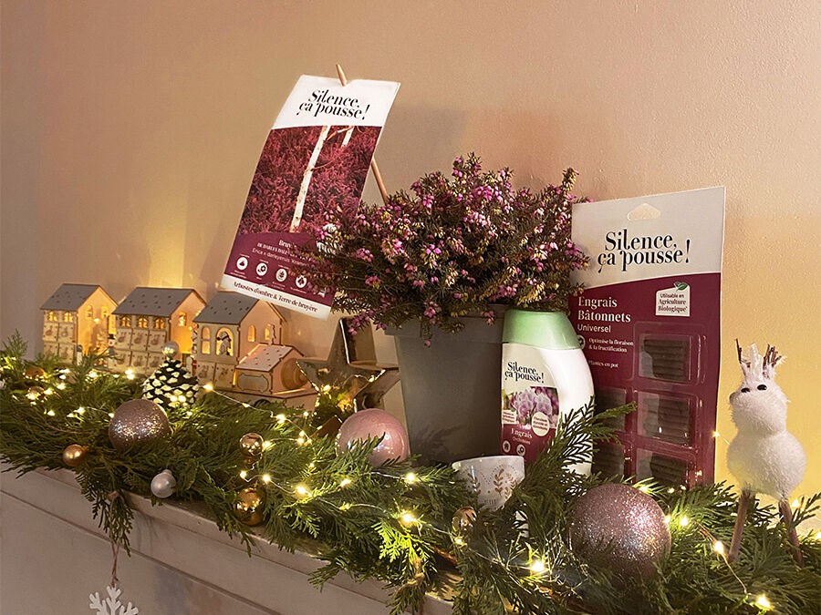 Règlement jeu concours "Calendrier de l'Avent" 2025