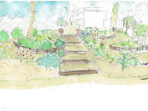 Aménager un jardin en pente chez Anne