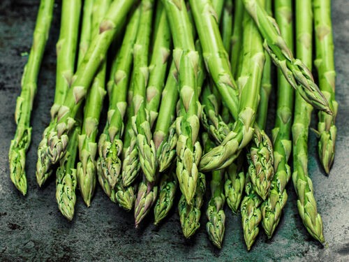 Planter, cultiver et récolter les asperges : guide complet pour une production réussie