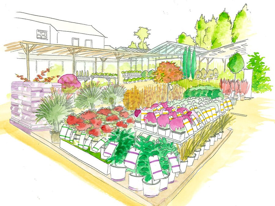 Promotion Alliance Silence, ça pousse ! 