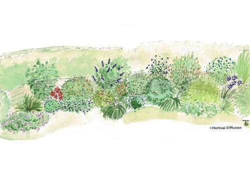 Créer des massifs champêtres chez Jérôme 