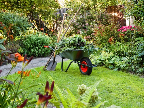 Que faire au jardin en mars ? Le guide complet pour bien préparer le printemps