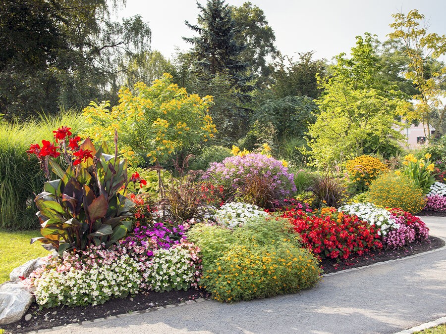 Comment structurer un massif ? 3 règles pour étager la végétation