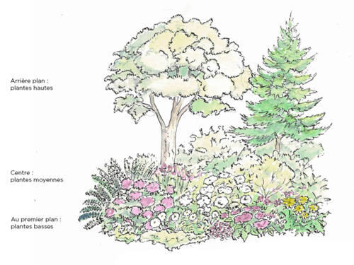 Comment structurer un massif ? 3 règles pour étager la végétation