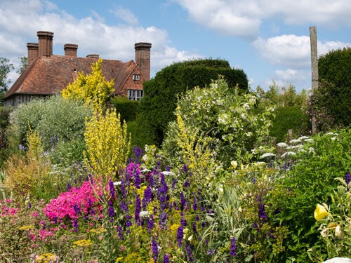 Créer un jardin résilient avec des plantes résistantes