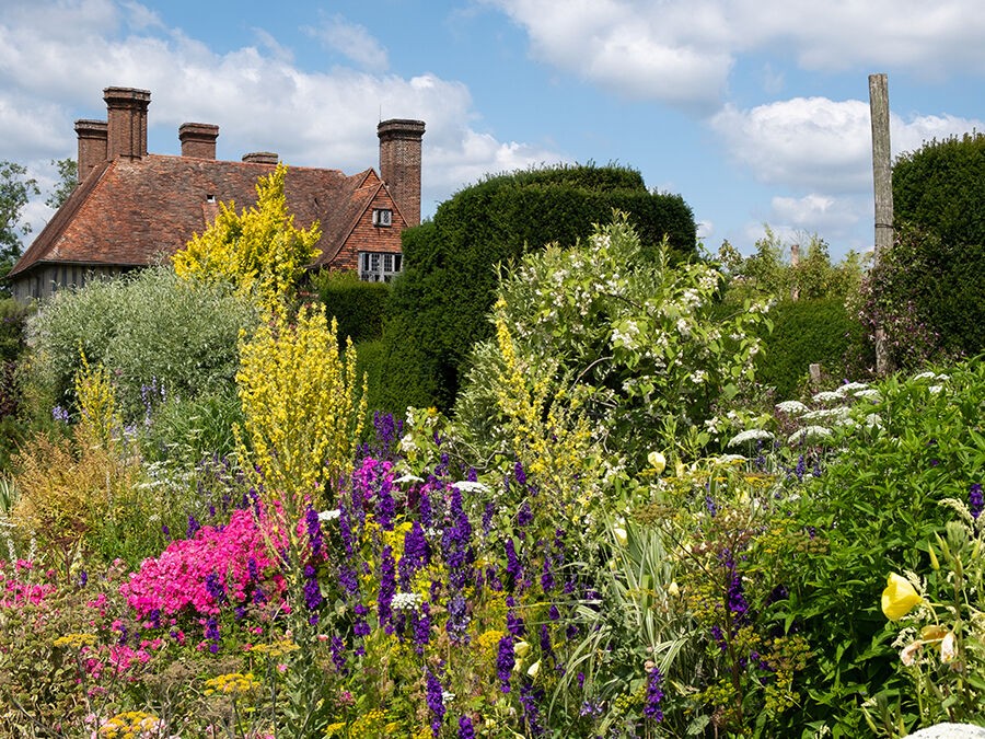 Créer un jardin résilient avec des plantes résistantes