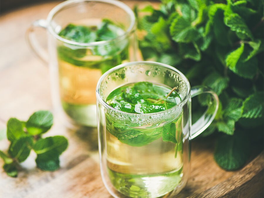Préparer des infusions, tisanes et boissons maison  avec les plantes du jardin
