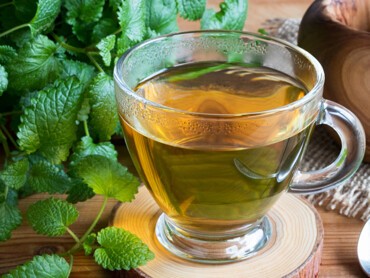 tisane-mélisse.jpg
