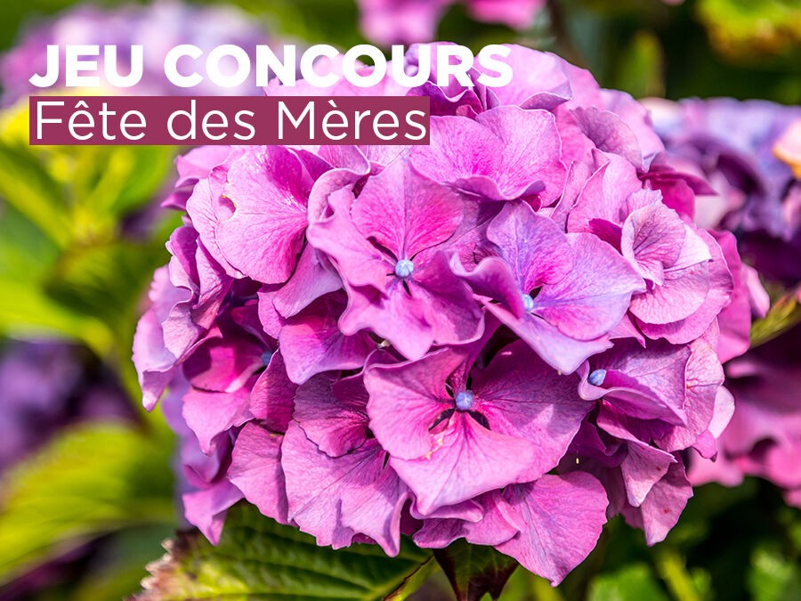 Jeu concours 