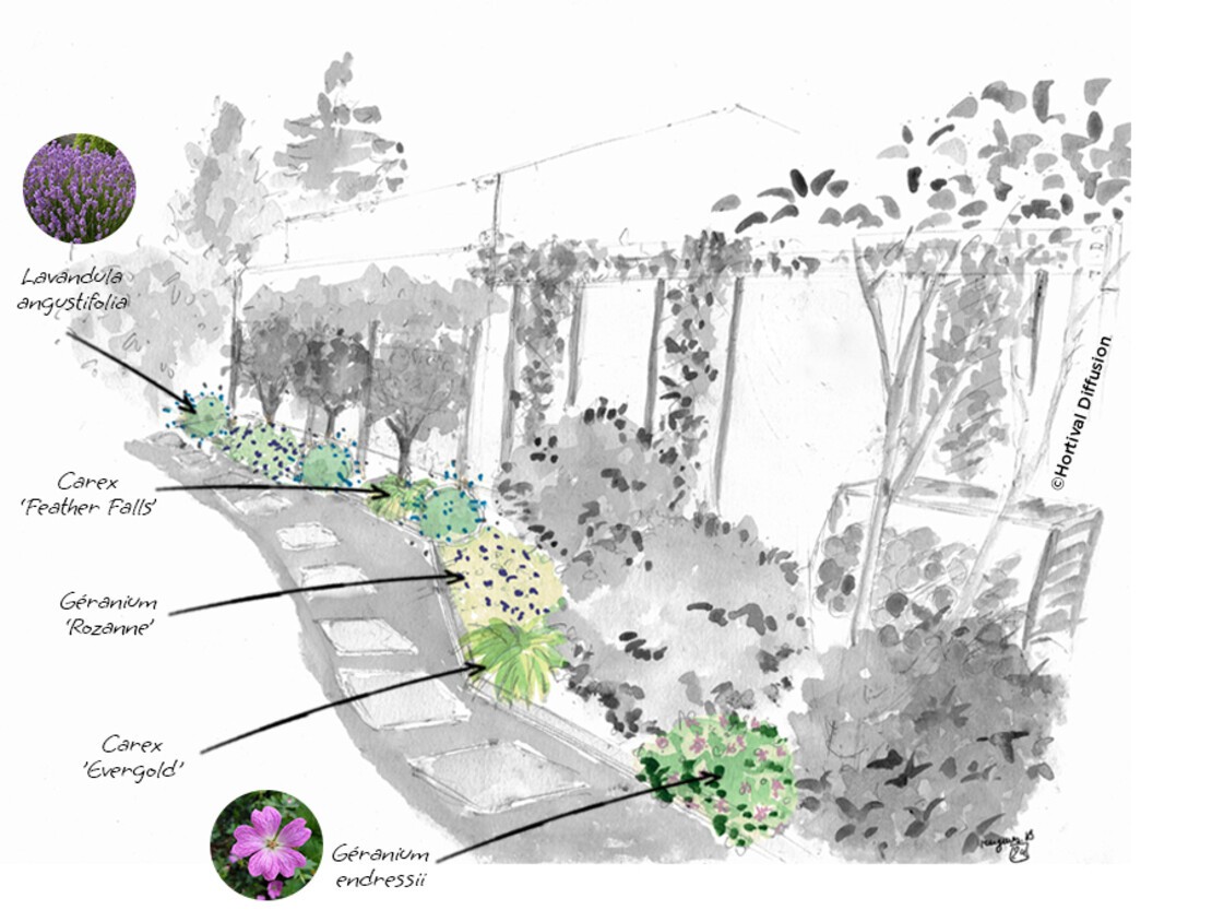 Etape-3---plantes-basses.jpg