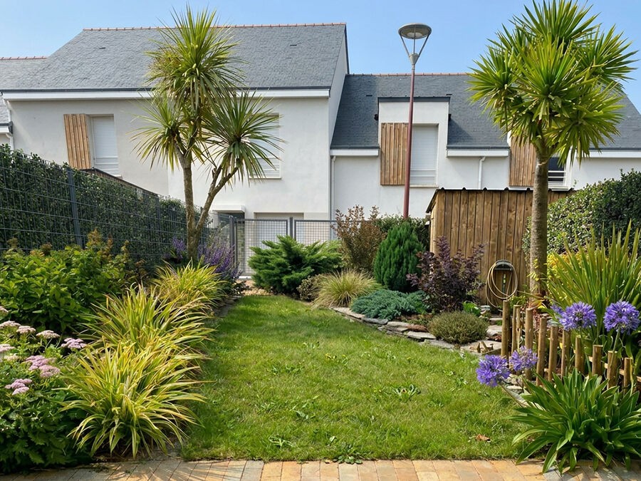 Les 10 meilleures plantes pour créer une ambiance bord de mer au jardin
