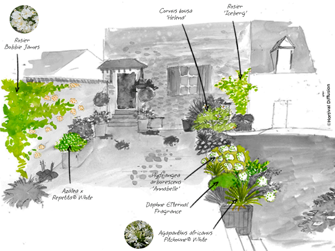 étape-1---fleurs-blanches.png
