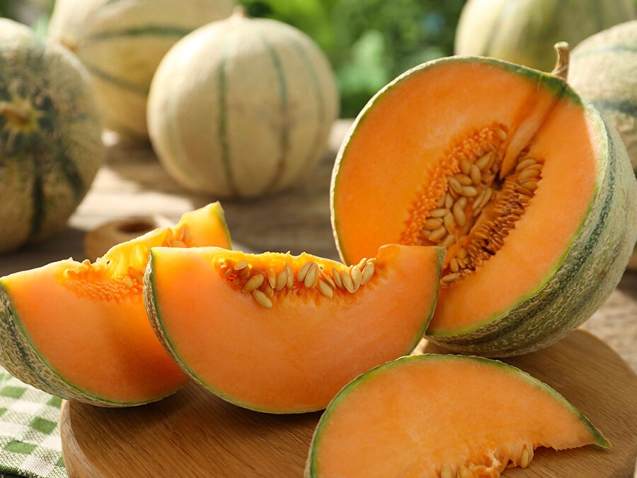 Comment faire pousser ses propres melons ?