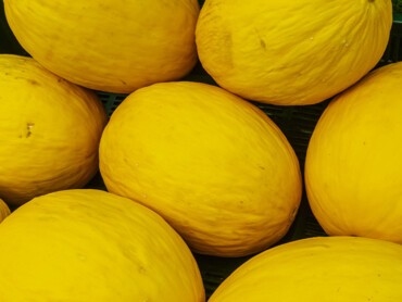 melon-canari.jpg