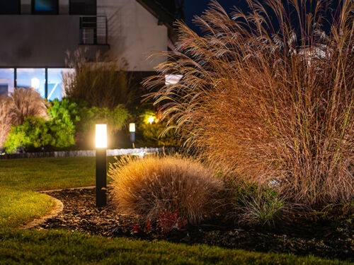 Jardin nocturne : les meilleures plantes et idées d'éclairage pour profiter du jardin la nuit
