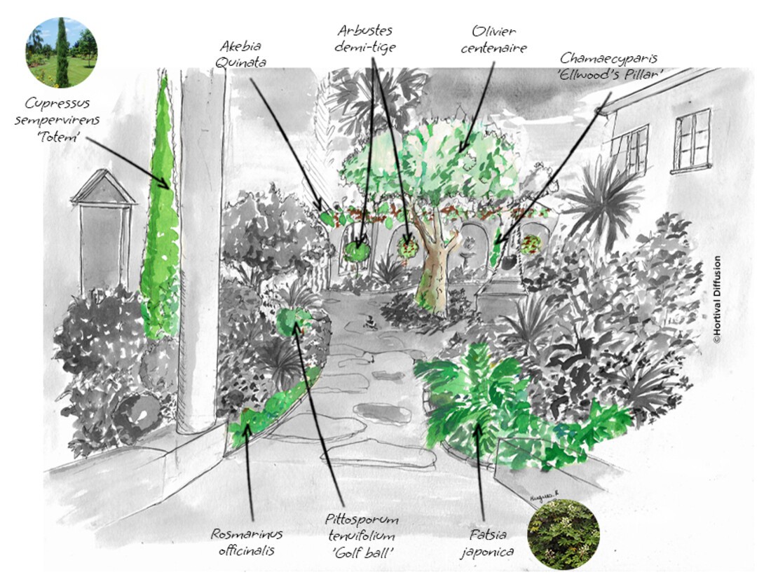 Etape-1---plantes-graphiques.jpg