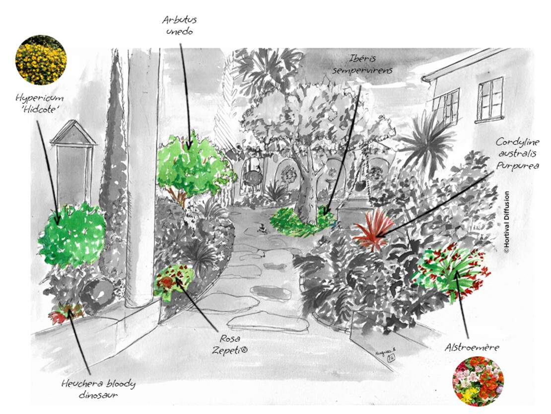 Etape-2---plantes-couleurs.jpg