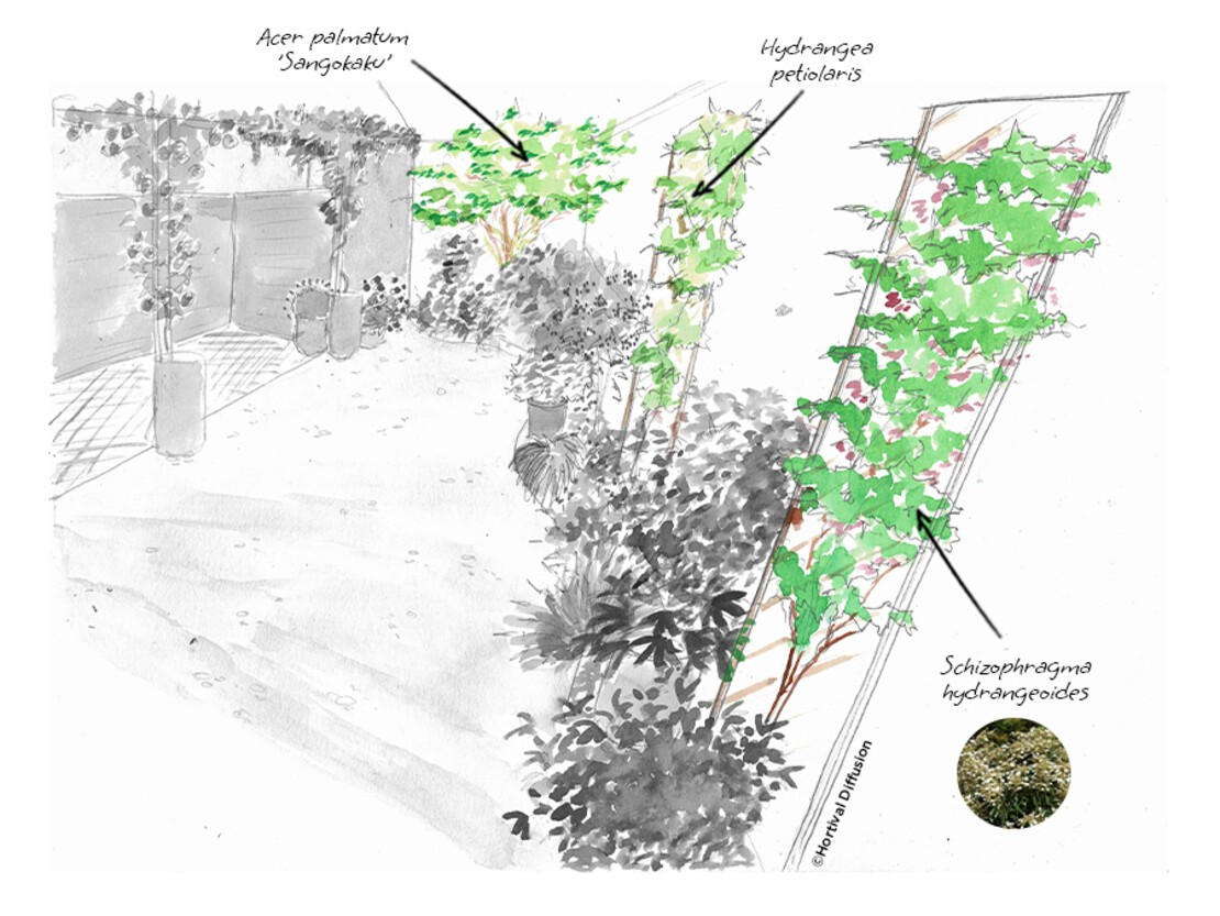 Etape-1---plantes-verticales.jpg