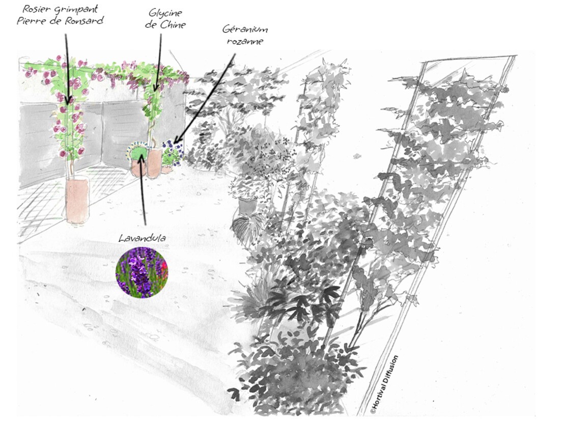 Etape-3---plantes-en-pot.jpg