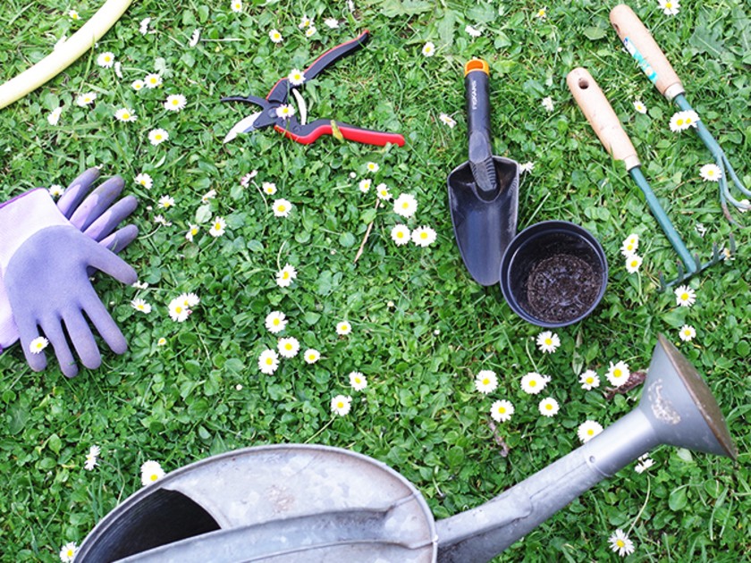 Entretien du jardin