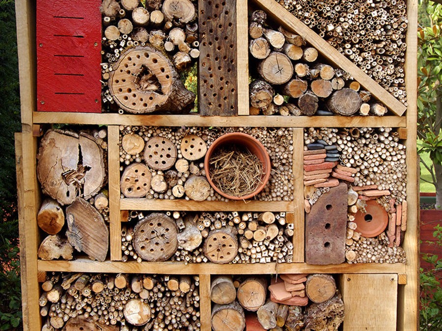 Hôtel à Insecte en bois pour chrysopes, papillons, abeilles et