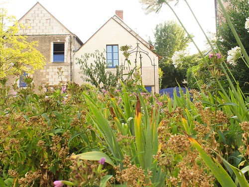 AU SECOURS, MES PLANTES ONT GRILLÉ !